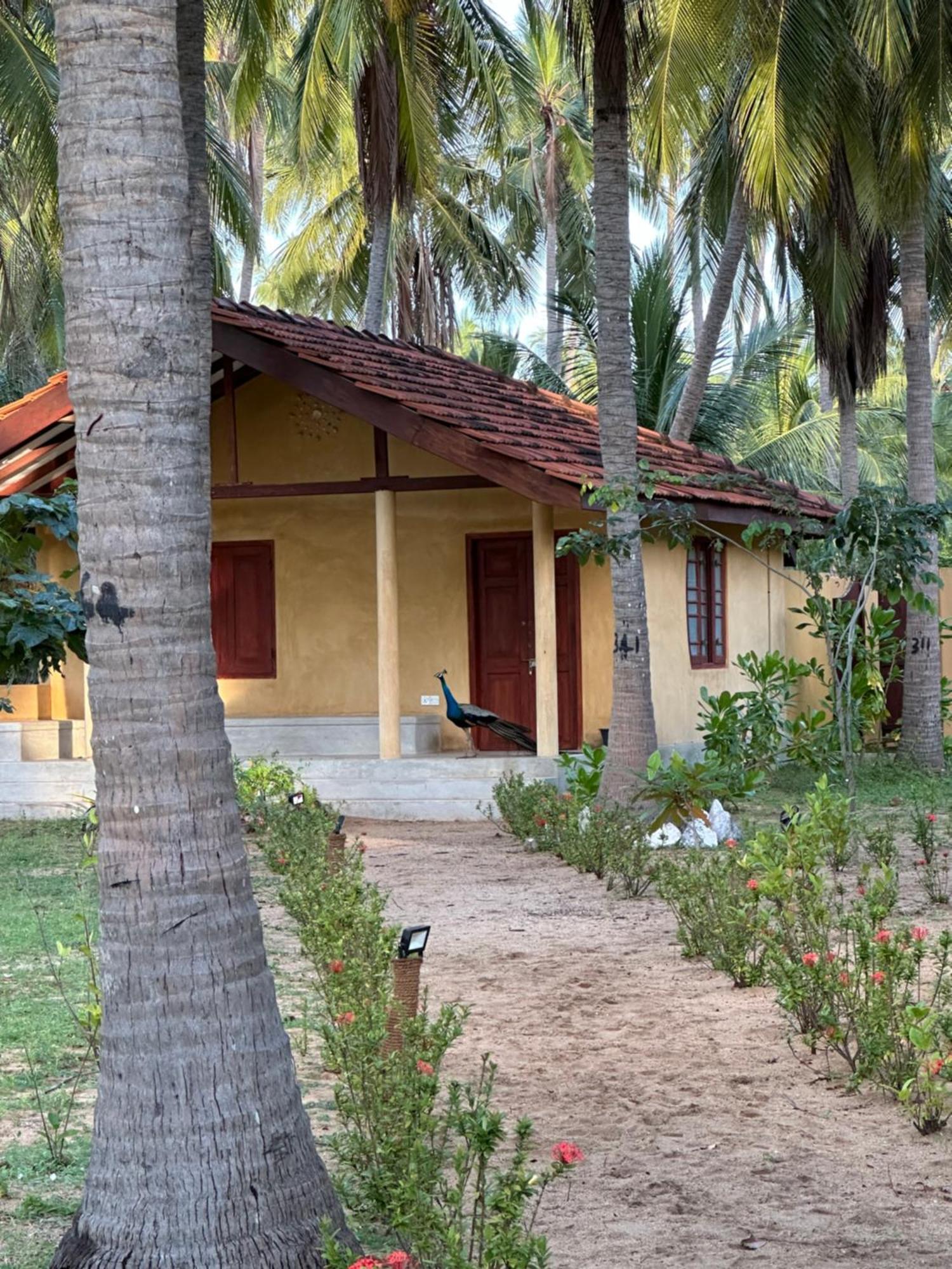 Kitelantis Hotel And Resort Kalpitiya Exterior photo