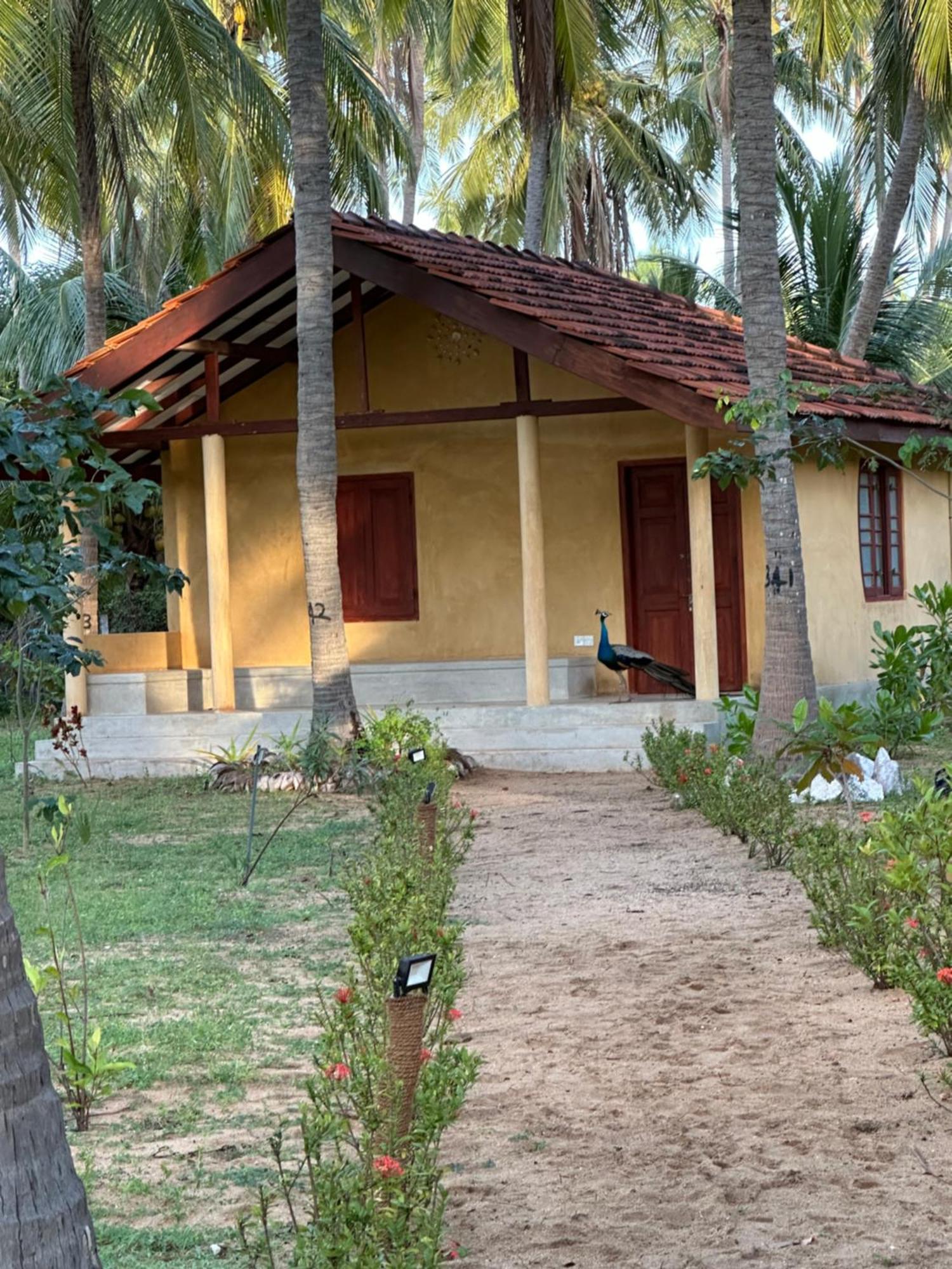 Kitelantis Hotel And Resort Kalpitiya Exterior photo